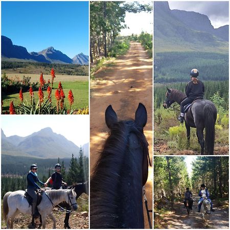 Вілла Oudebosch Guest Farm Ріверсдейл Екстер'єр фото