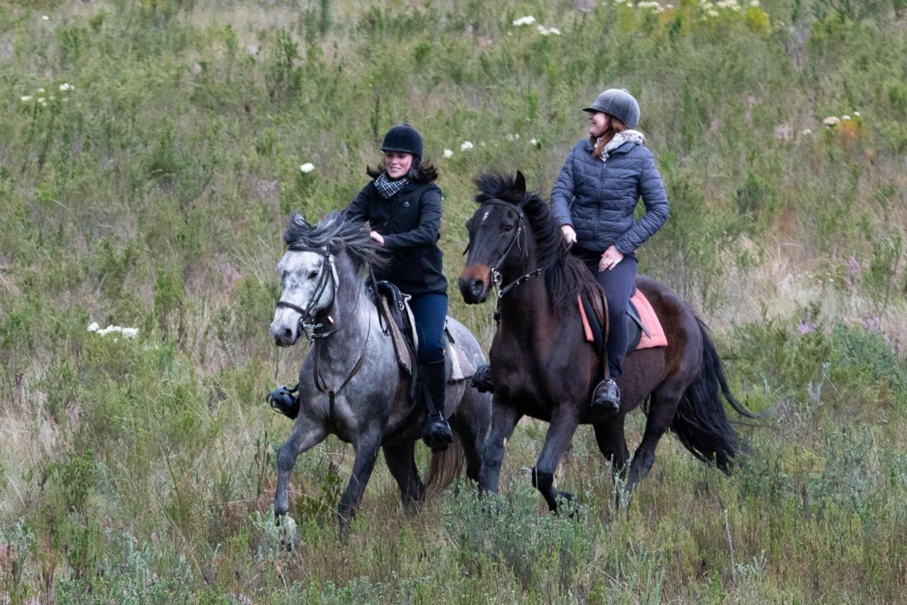Вілла Oudebosch Guest Farm Ріверсдейл Екстер'єр фото